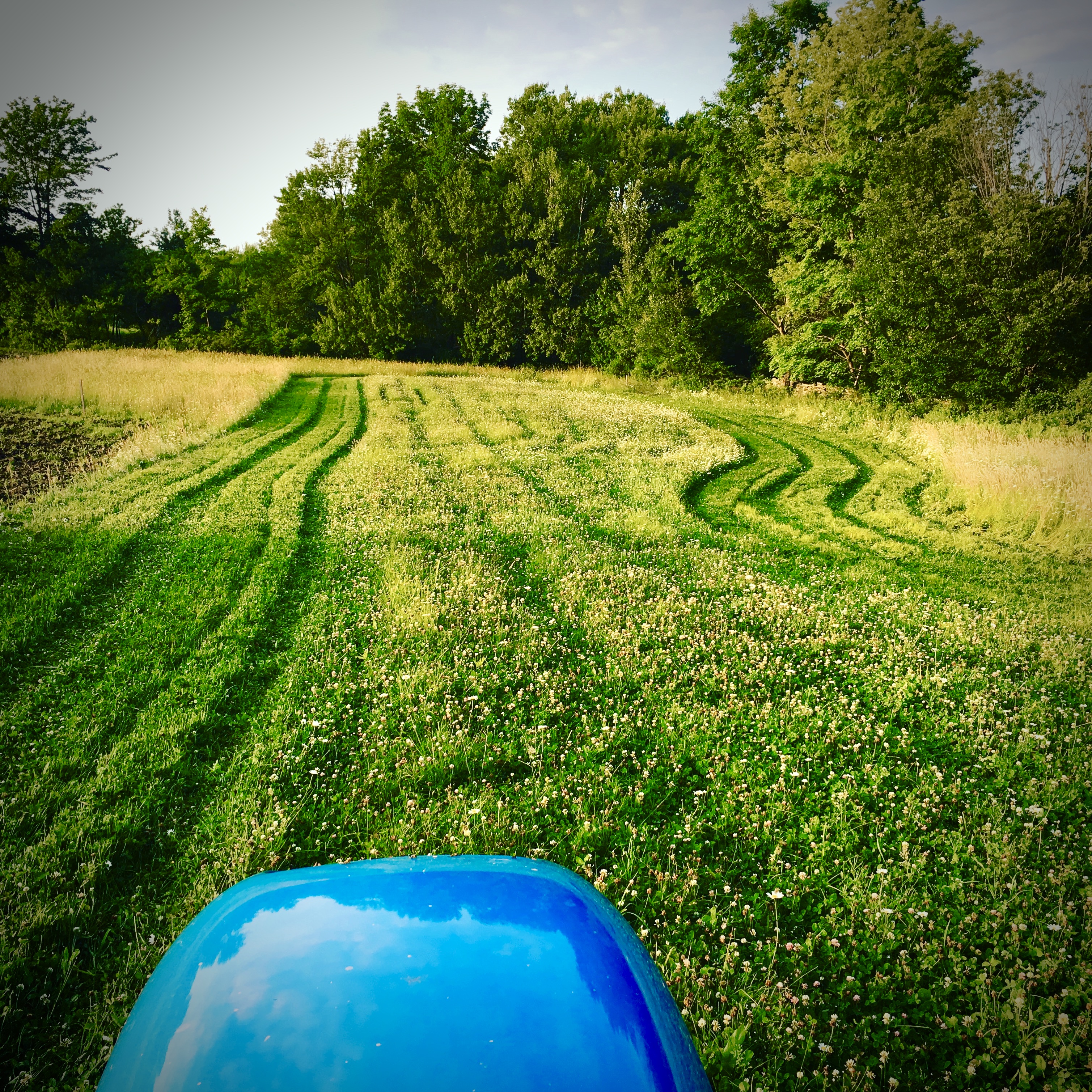 Food Plot Work